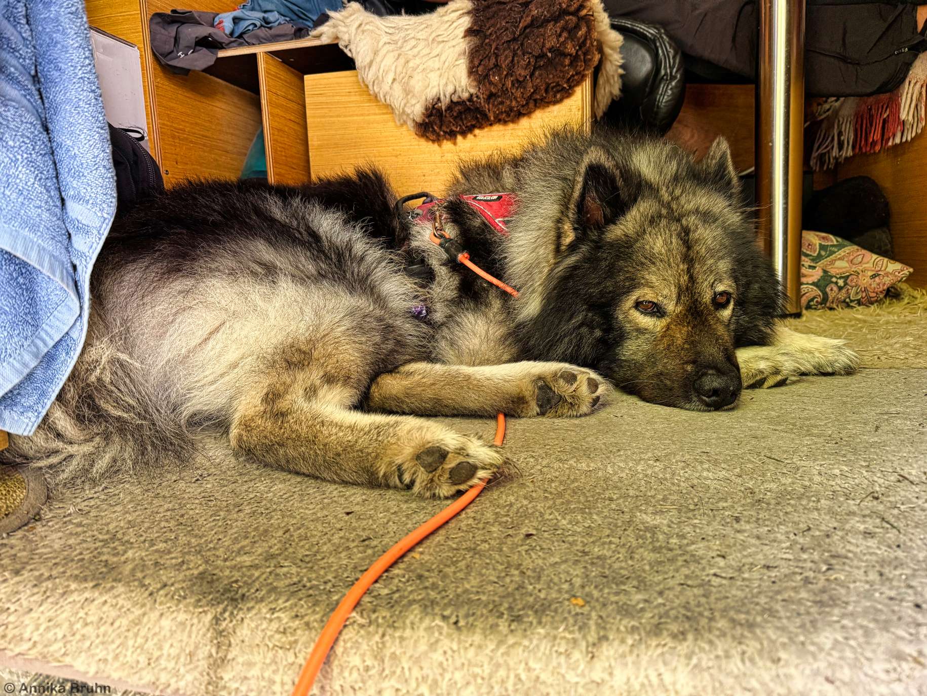 Q ist genervt vom Wetter